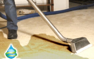Clean Up Service – Rapid Response and Recovery