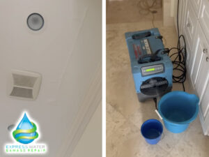 The Best Wet Carpet Drying Services