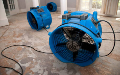 Best Emergency Restoration Services by Express Water Damage Repair